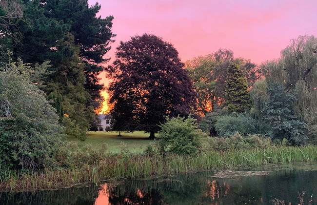 West Lexham - Photo 27