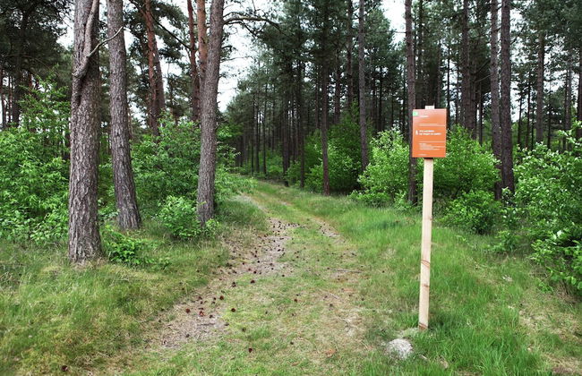 Villa in Doornspijk Near Forest and Lake - Photo 40