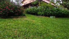 Sítio São Gerardo - Aconchegante casa no campo. - Foto 4, Garden