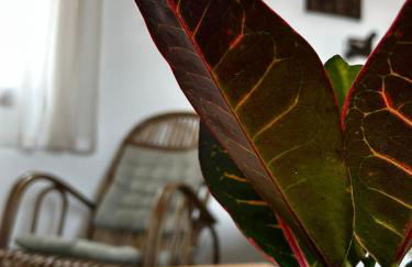 Alojamiento Turístico Mirador del Castillo - Foto 13