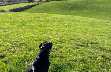 POPPY LUXURY LODGE Sleeps 8 at Fairview Farm, Ravenshead, Nottingham Near Sherwood Forest, Dog Friendly, Farm Stay great for wedding groups, families, Hen Do's, friends gatherings with amazing views - Foto 66