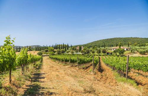 Il casale degli olivi - Foto 45