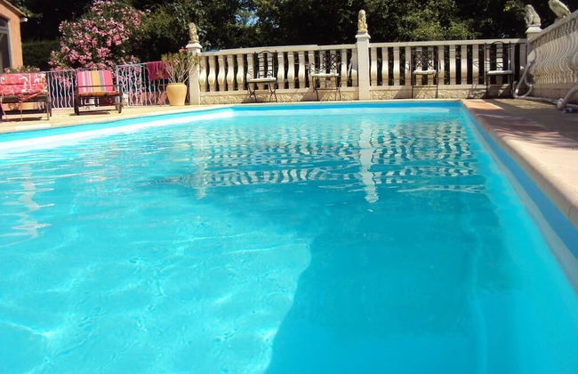 Maison d'hotes La Douloire - Foto 16