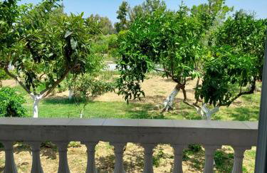 Canditas Studios - Photo 23