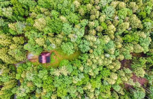 Lost Pond Cabin - Foto 27