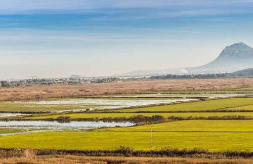 OLIVA HOLIDAYS 1 - Photo 31