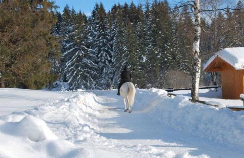 Ruheoase am Forggensee - Foto 17