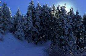 Sequoia National Forest CabinG - Foto 11