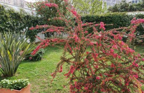 Casa Romeo - Foto 41