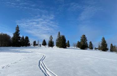 Hochburger 21 - Photo 18