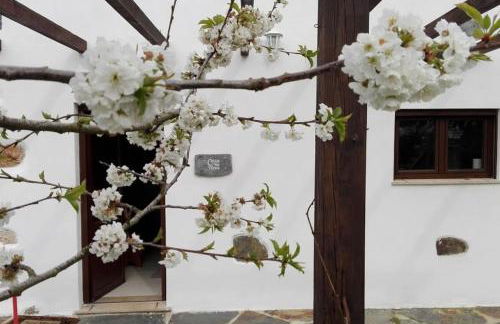 Casa da Tileira - Photo 37