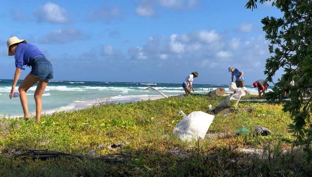 Helping the environment