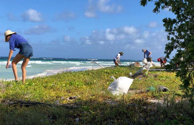 Excursion to Sandy Turtle Conservation Center - Foto 5