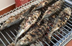 Alqueva - Casa Da Luz - Foto 24