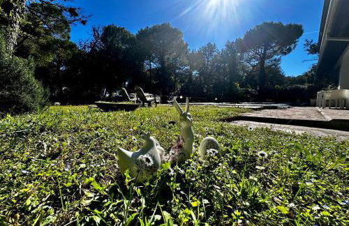 Villa by the Sea and Pool - Foto 34