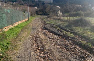 Nido Estebana - Foto 50