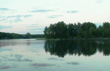 Dom Letniskowy na Kaszubach z podgrzewanym basenem - Foto 3