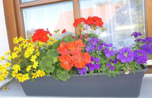 Ferienwohnung Kollmann - Foto 20