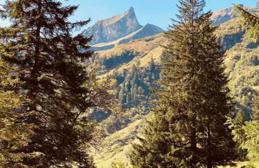 Landhaus am Schneewittchenberg - Foto 41