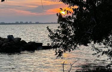 BLUE OASIS An inviting downtown Sarasota retreat - Foto 41