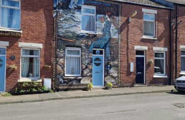 Sooty Babe - Photo 8