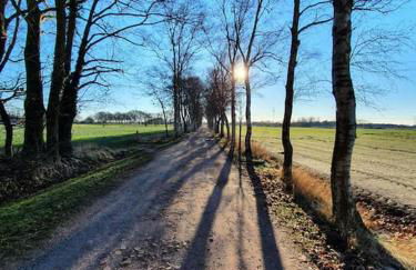 Ferienhaus blauer See mit optionalem Hot-Tub - Foto 40