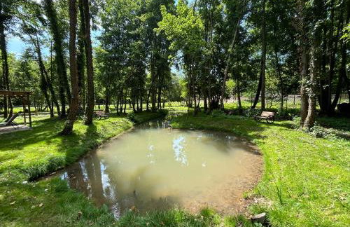 Le relais du Château - Foto 43