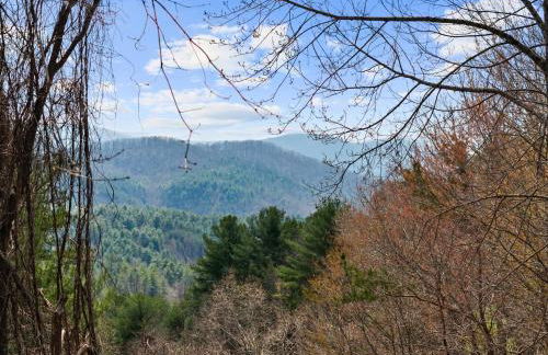 Blue Ridge Cozy Cabin King Bed Hot Tub & Dog Friendly - Foto 51