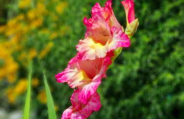 Casa Vacanze Family - Foto 46