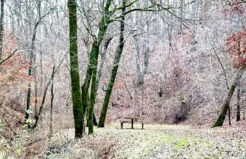 Secluded Riverfront Cabin with Bluff Views, Gated Privacy & Scenic Trail Access in Tahlequah, Oklahoma - Foto 69