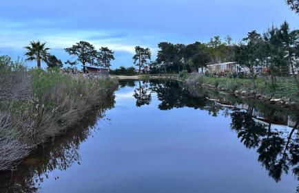 Entre Terre et Mer - Foto 45