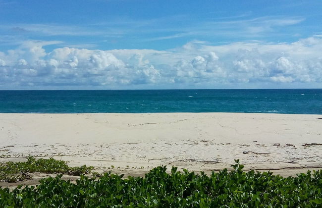 Loft, Queen and Single Bed, Kitchen-dining Room-outside Terrace - Foto 16