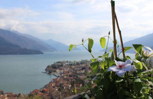 La Rondine - Foto 22