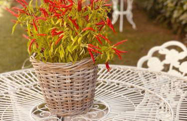 Ca del Gno - Foto 12