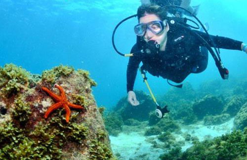 Travelers Dream! - Foto 77