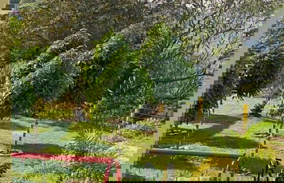 Altos de agua blanca - Photo 38