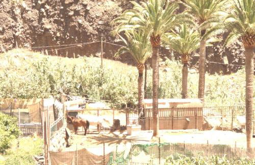 Apartamentos Nayara - Foto 34