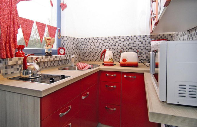 Roof House Near Dummer See With Rowing Boat - Foto 4