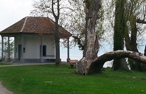 Ferienwohnung M. König - Photo 24