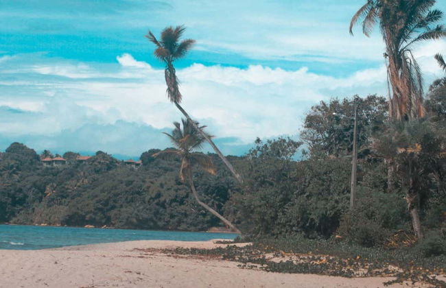 Excursión a la isla de Boipeba - Foto 1