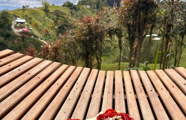 Ecoedén Glamping - Photo 37