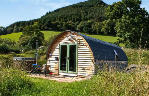 Barcud Coch - Uk44539 - Foto 1