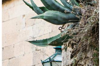 Apartments Mirabella - Photo 4