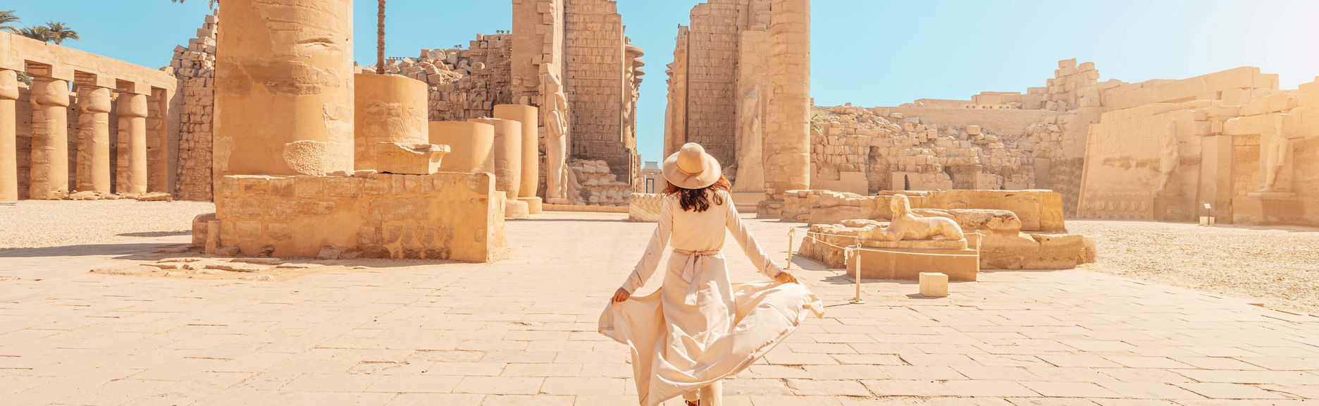 Excursion privée à Louxor en avion