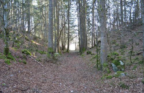 Chalet dans le parc régional du Haut-Jura - Foto 19