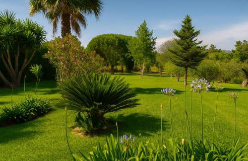 Quinta das Maçãs by SH - Foto 7