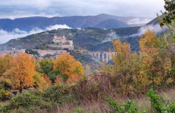 Profumo di Bosco - Photo 26