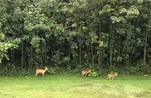 PRIEN Spacious Roof Top Maisonett Apartment at Lake Chiemsee - Foto 7