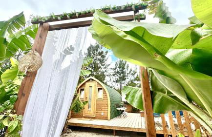 A-Nueva! Magec vip jacuzzi privado - Foto 13