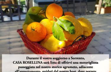 CASA ROSELLINA SORRENTO - Photo 18